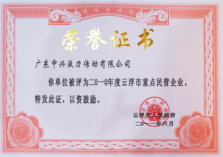 2010年度支浮市重點(diǎn)民營(yíng)企業(yè)證書(shū)（2011）