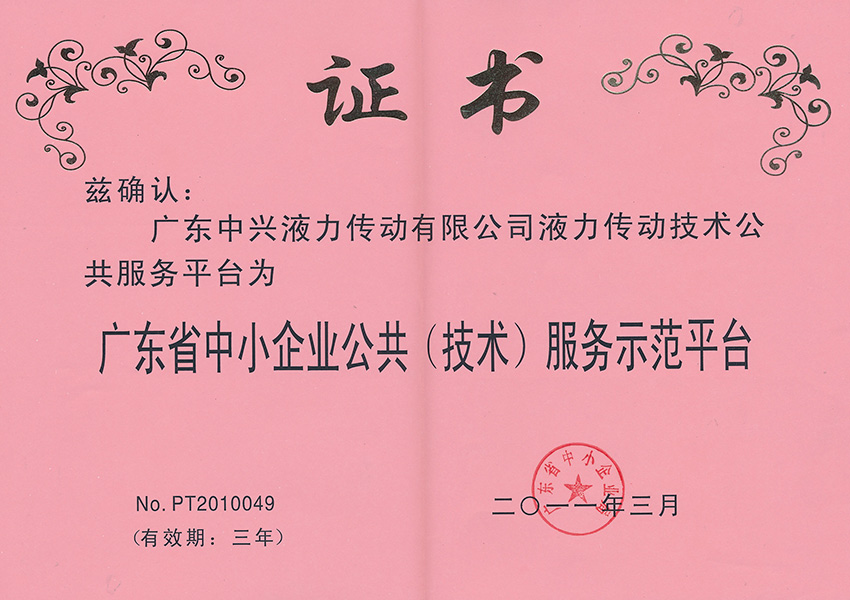 2011年公共(技術(shù))服務(wù)示范平臺(tái)證書(shū)